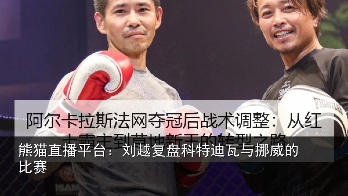 熊猫直播平台：刘越复盘科特迪瓦与挪威的比赛