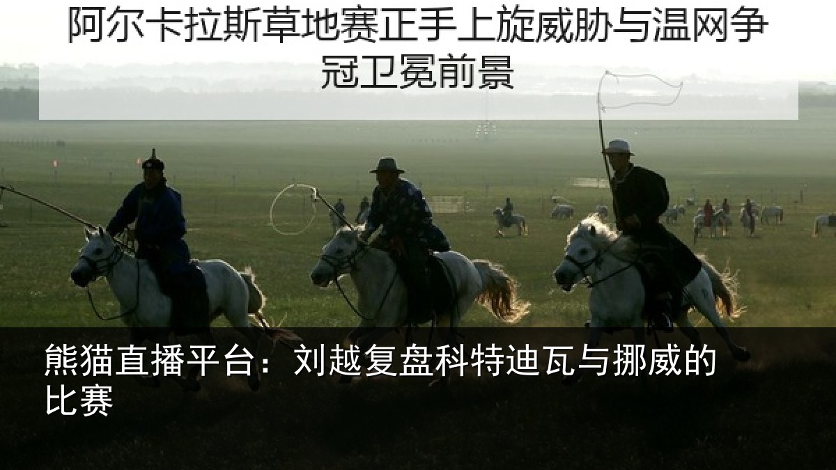 熊猫直播平台：刘越复盘科特迪瓦与挪威的比赛