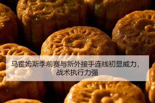 马霍姆斯季前赛与新外接手连线初显威力，战术执行力强