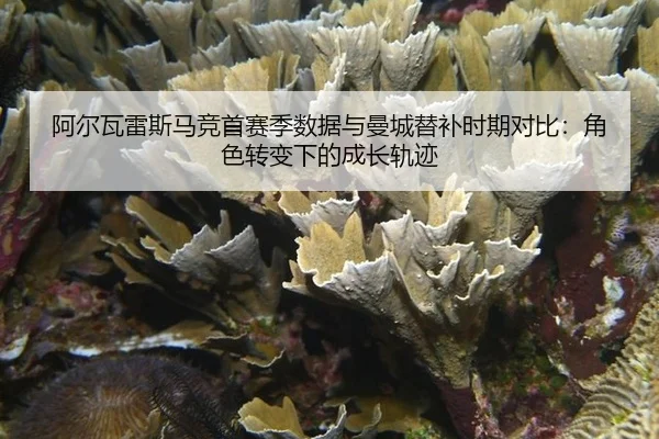 a-er-wa-lei-si-ma-jing-shou-sai-ji-shu-ju-yu-man-cheng-ti-bu-shi-qi-dui-bi-jue-se-zhuan-bian-xia-de-cheng-zhang-gui-ji-3-119.jpg