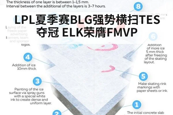 LPL夏季赛BLG强势横扫TES夺冠 ELK荣膺FMVP